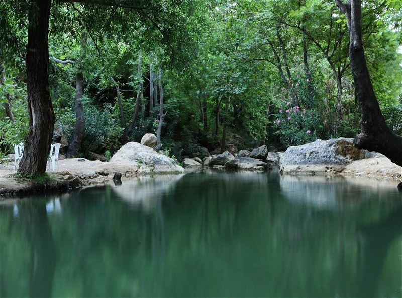  peace 📍wadi al akhdar maydaneh plain- southlebanon ........