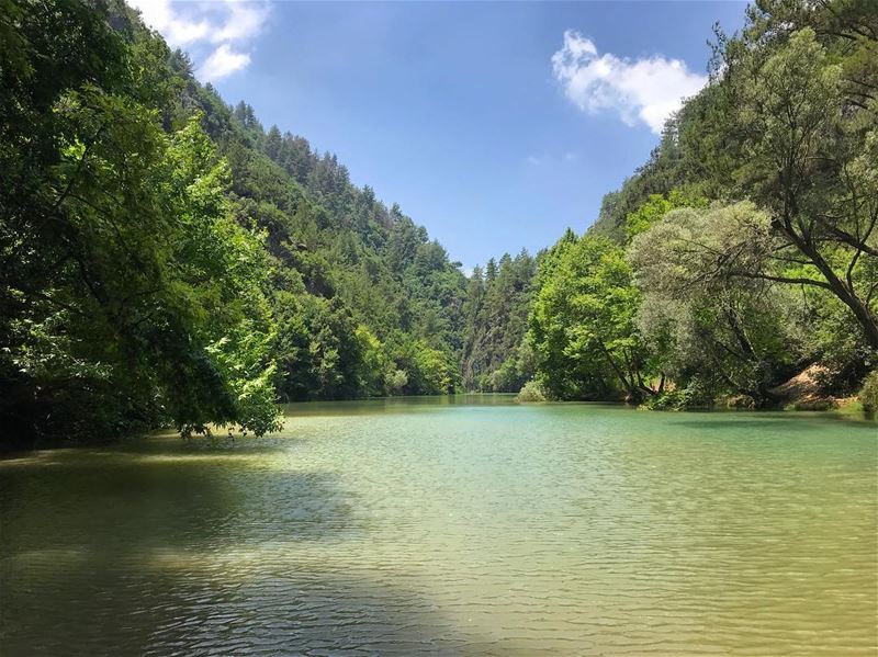 Peace ☮️🕉‼️................. lebanon  atmosport  nature... (Peace سلام)