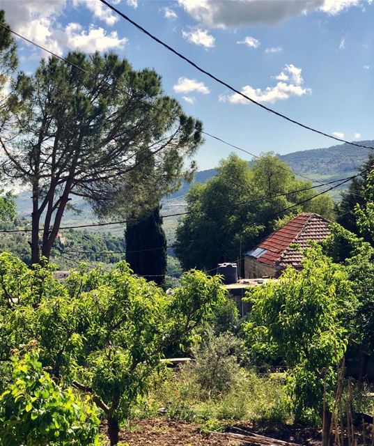 Peaceful country living in Lebanon.  livelovelebanon  countrylife ... (Maasser el Chouf Municipality)