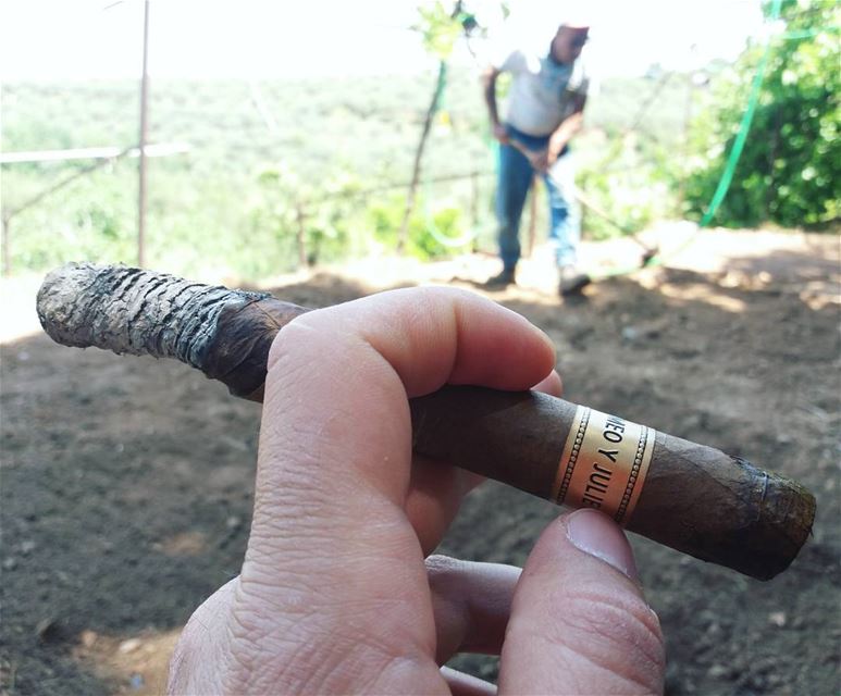 Peaceful morning .. with Romeo Y Julieta Dominican republic ---------------