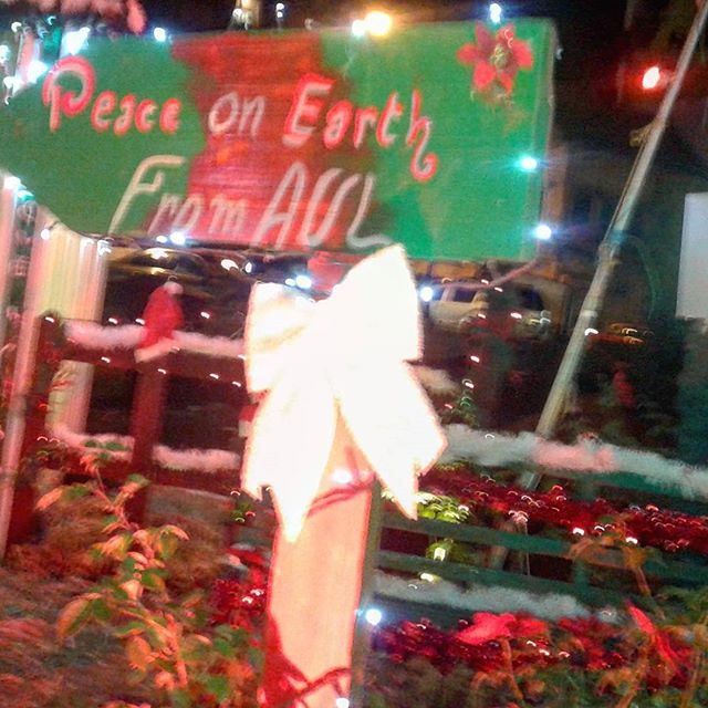 peaceonearth christmas decoration noelwish (Zahle, Lebaon)