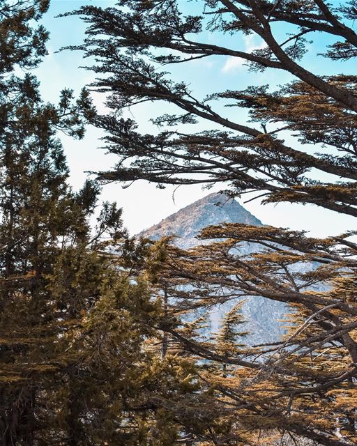 Peaks Moment ⛰...... lifeofadventure  folkmagazine   agameoftones ... (Lebanon)