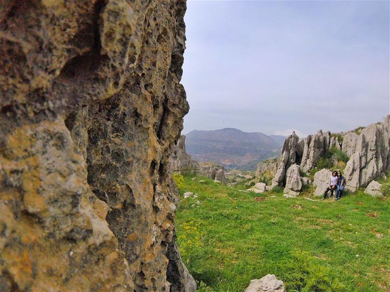 Peek a boo, i see you! nature  naturelovers  capture  gopro  goodvibes ...