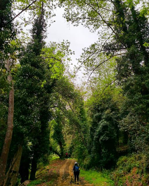 People change  memories don't...  nature  hiking  lebanon  gogreen ...