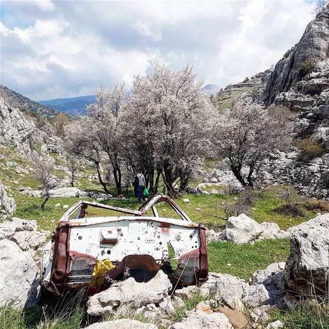 Perfect spot for a picnic. tannourine  batroun  lebanon  middleeast ... (Tannourine-Balou3 Bal3a)