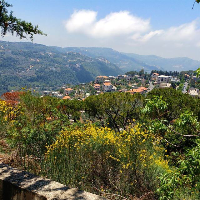 Perfect weather, perfect setting. Heat tempered by cool breeze. Spotted... (Dayr Al Qamar, Mont-Liban, Lebanon)