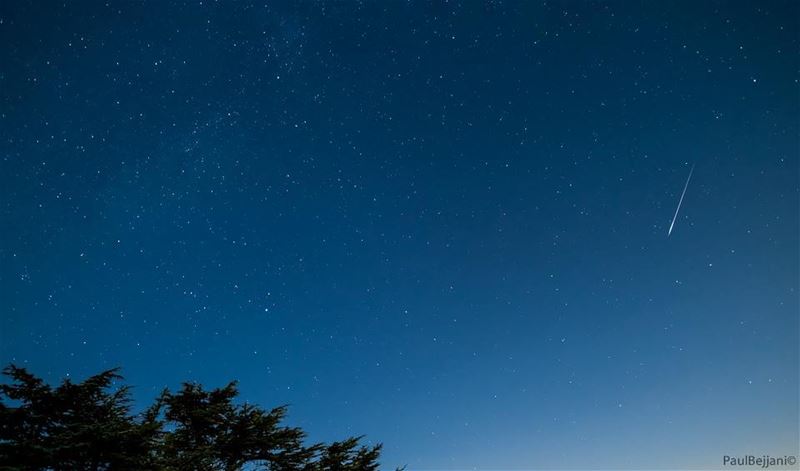  perseids  meteor  meteorshower  tannourine  august  stars  shining ... (Tannourine Cedars Nature Reserve)