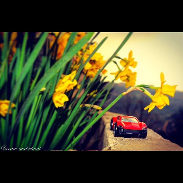 photo by @adham_mayas  dream  cloudporn  canon_photos  cars  red  nature ... (Niha Al Chouf)