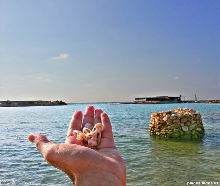 🐚🐚🐚 Photo by @hussein.fwz 📷 landscape  amazing  view  trip ... (Adloun Sur Mer عدلون عالبحر)