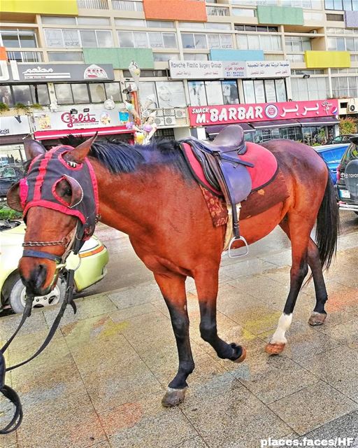 🐎🐎🐎 Photo by @hussein.fwz 📷 landscape  amazing  view  trip ... (Beirut, Lebanon)