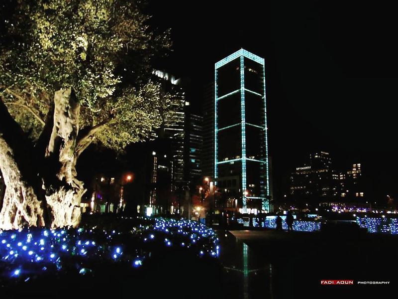  photo  fadiaoun @faaoun  night  beirut  lebanon  tree  lights ...