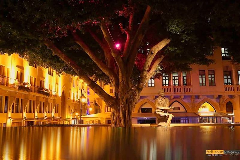  photo  fadiaounphotography  beirut  night  lights  lebanon  nature ...