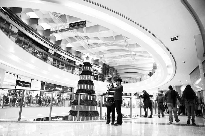  photo  fadiaounphotography  christmas  monochrome ...