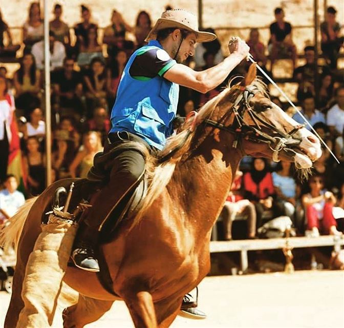  photo  fadiaounphotography  otv  program  horse  game  lebanon ...