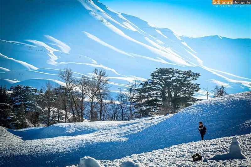  photo  fadiaounphotography  photoshooting  lebanon  snow  cedars  sky ...