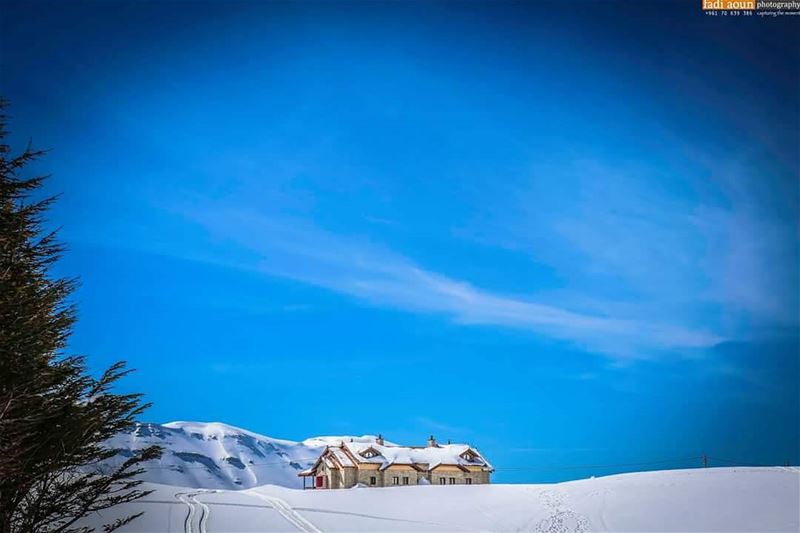  photo  fadiaounphotography  snow  sky  lebanon  cedars  photoshooting ...
