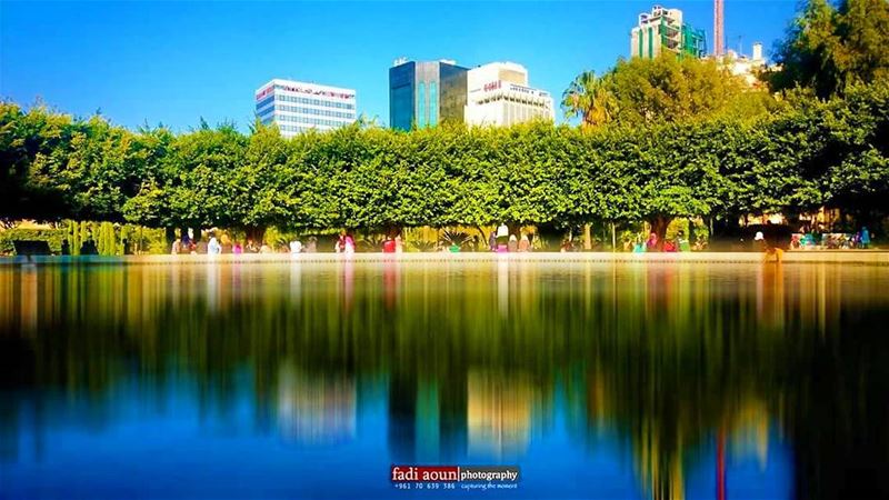  photo  lebanon  garden  reflection  green  hamra ...