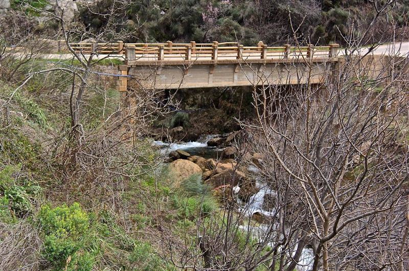  photo  photos  pic  pics  TagsForLikes  picture  pictures  snapshot  art ... (Akoura, Mont-Liban, Lebanon)