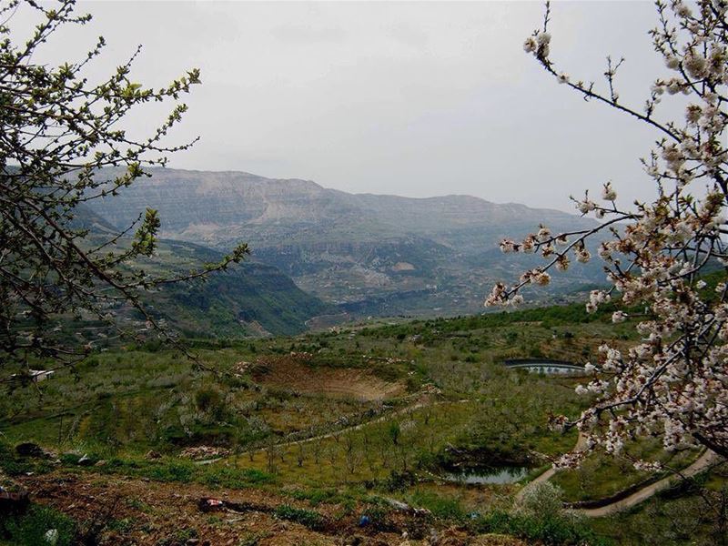  photo  photos  pic  pics  TagsForLikes  picture  pictures  snapshot  art ... (Akoura, Mont-Liban, Lebanon)
