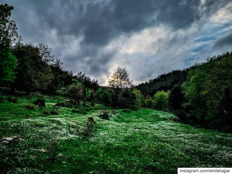  PHOTOARENA  Fatalaframes  MoodyGrams  landscape  pocket_allnature  ... (Al Qubayyat, Liban-Nord, Lebanon)