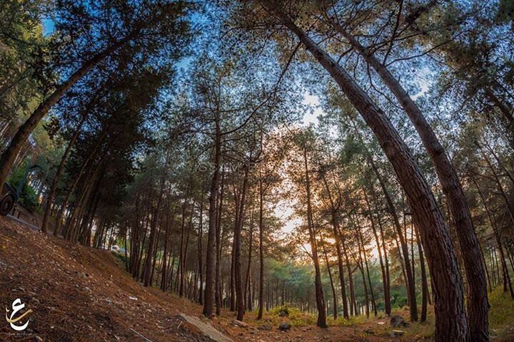  photography  fisheye  followforfollow  like4like  instabeauty  instagram ... (Tibnîne, Al Janub, Lebanon)