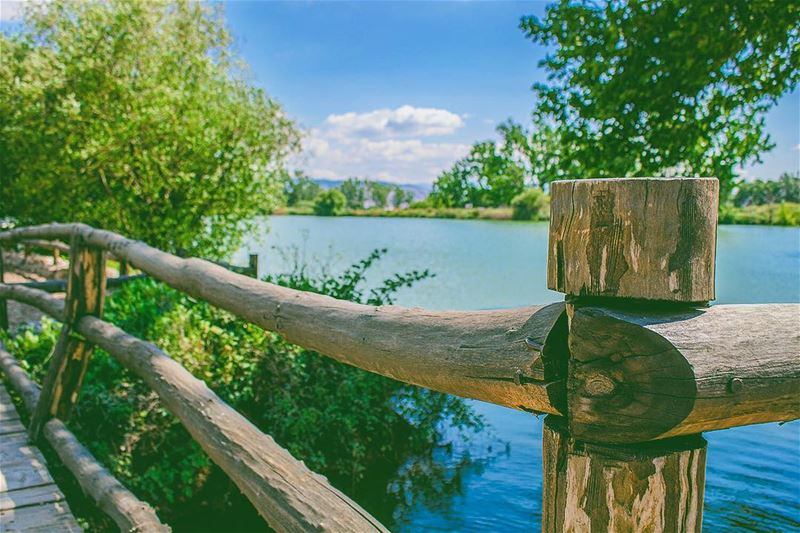 'photography is the beauty of life captured...' (Beqaa Governorate)