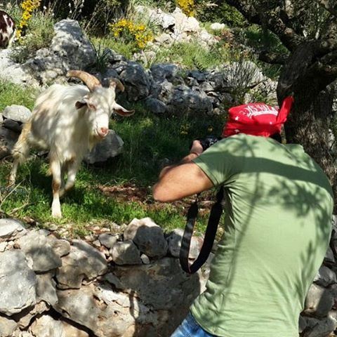  Photography 📷 is the  story I  fail to put into  words.  tannourine ... (Tannourine)