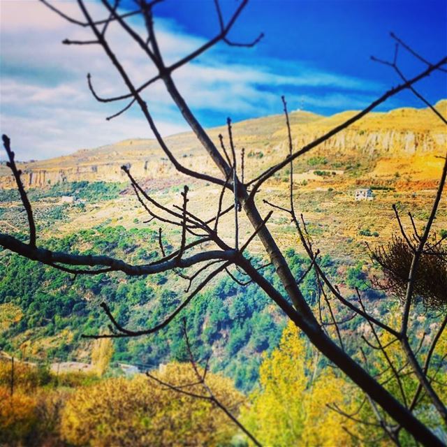  photography  landscape  nature  fall  endoffall  leaves  fallleaves ...