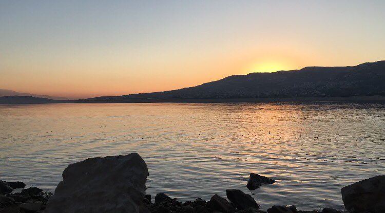  photography  naturephotography  bekaa  lebanon  lebanonviews ... (Lake Qaraoun)