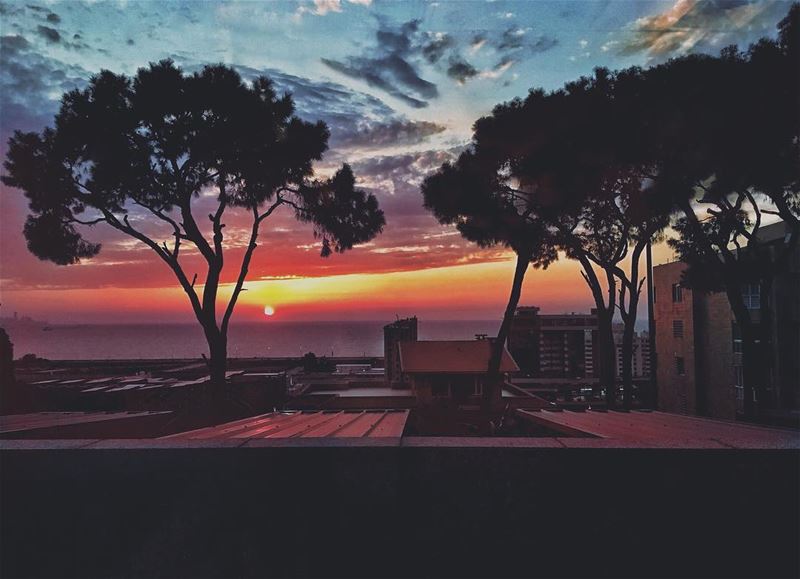 .''' photography  photographyislife  photographylovers  instagood ... (Dbayeh, Mont-Liban, Lebanon)
