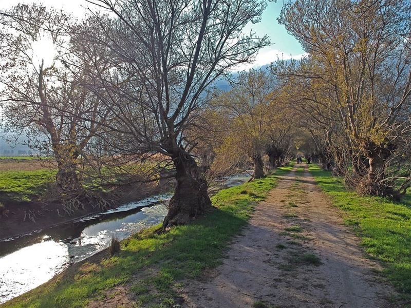  photography  photooftheday  bestoftheday  tb  weekend  beautiful ... (`Ammiq, Béqaa, Lebanon)