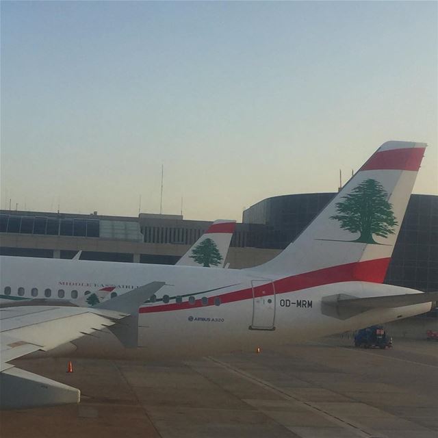  photography  plane  airline  travel  travelphotography  lebanon ... (Beirut–Rafic Hariri International Airport)
