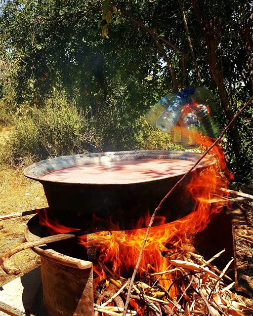  photooftheday  amazing  follow4follow  look  like4like  instalike  food ... (Hasbani River)