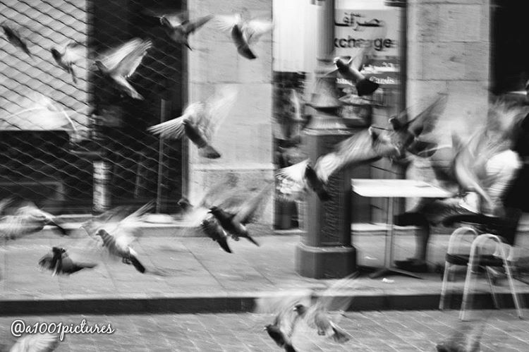  photos  photography  blackandwhite  nikon  beirut  lebanon ... (Downtown Beirut)