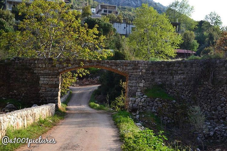  photos  photography  lebanon  beirut  nikon  nature  naturephotography ... (Tannurin At Tahta, Liban-Nord, Lebanon)