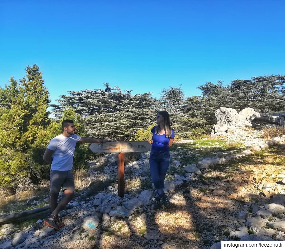 Pickup lines - chapter 2: Asking for Directions. 👈--🙂--👉... (Cedar Reserve Tannourine)
