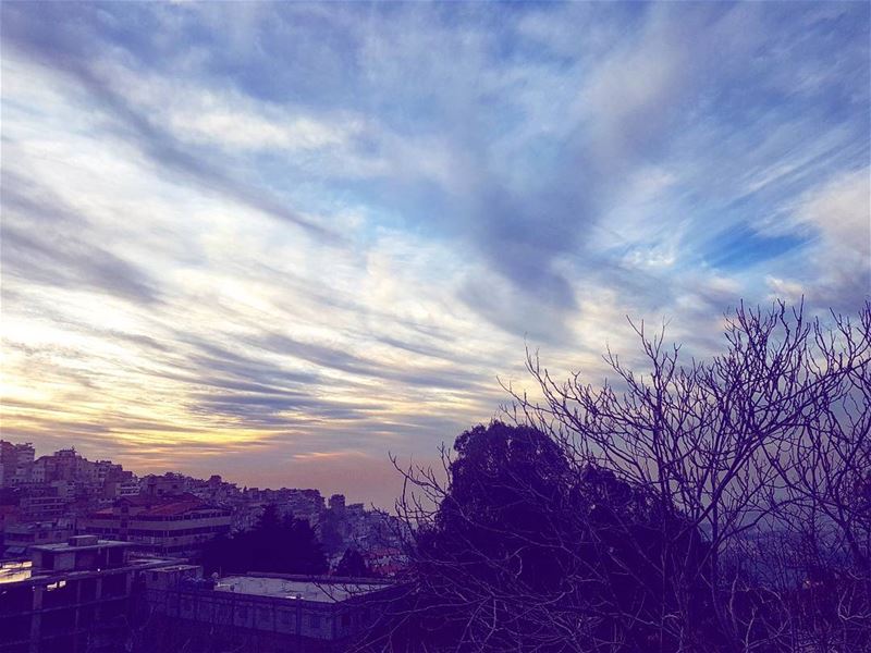  picoftheday friday world lebanon sky sunset tree winter nature life free...