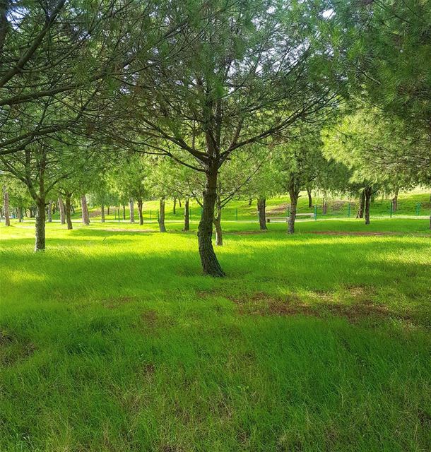  picoftheday lebanon beirut city green space freedom nature naturelover...