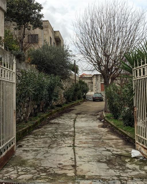 🚶🏻🌳📸 .. ........ picoftheday  photooftheday  mothernature ... (Abadiyeh, Mont-Liban, Lebanon)