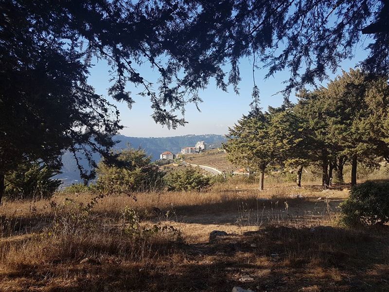  picoftheday world saturday weekend lebanon nature natureaddict view...