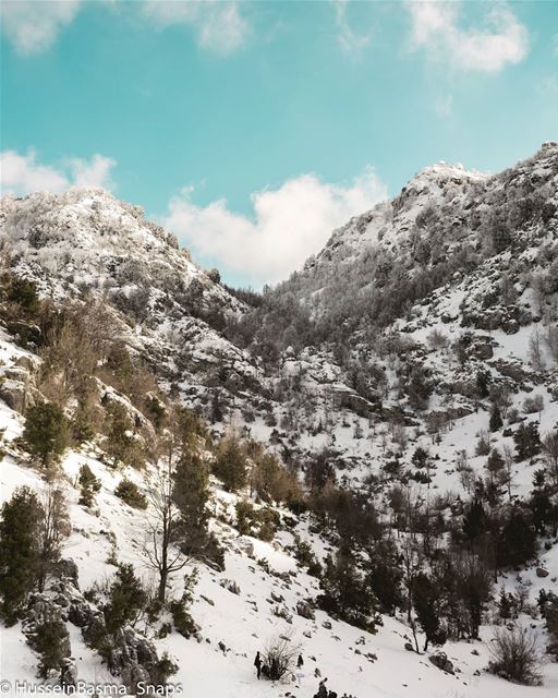 Piece of Art 🗻☁🌲 (Lebanon)