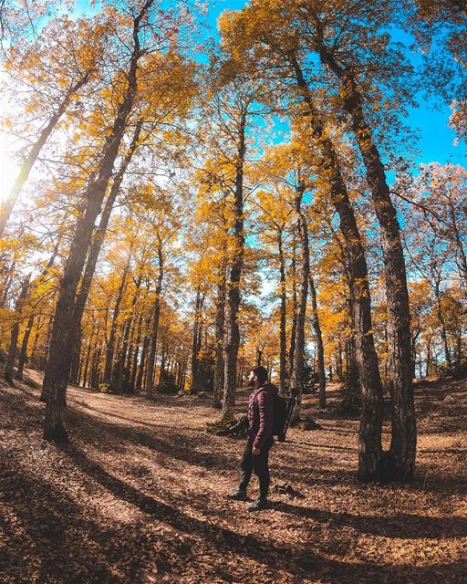 Piece of heaven 🍂🍁..... landscape landscapephotography... (El Qâmoûaa, Mont-Liban, Lebanon)