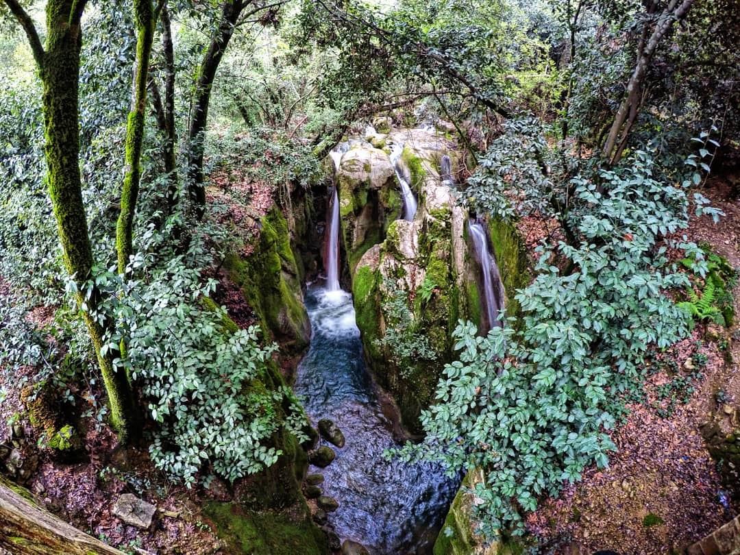  PieceOfHeaven  Mokhtara  waterfalls  Lebanon  livelovelebanon ... (El-Mukhtarah, Mont-Liban, Lebanon)