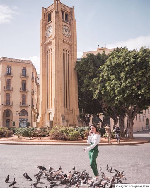 Pigeons thinks I'm really Coo - L ! pigeonpunsTaken by @laladanaolabi (Downtown Beirut)