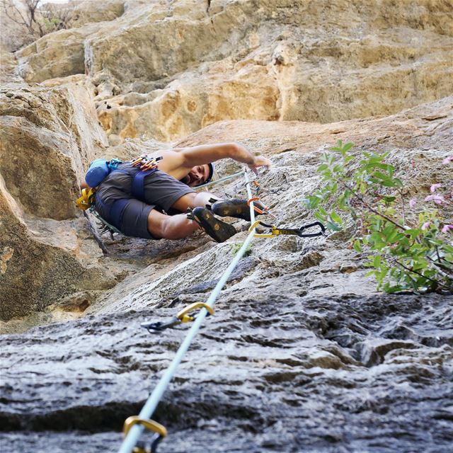 Pinch it and lean against it 👌  climbing  rockclimbing  tannourine ... (Tannoreen)