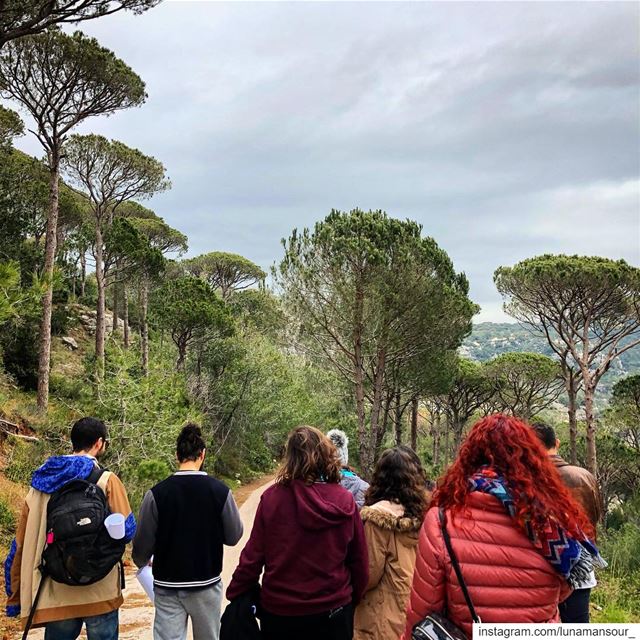 pines &... (Ra'S Al Matn, Mont-Liban, Lebanon)