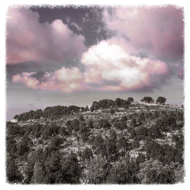 Pink clouds  clouds  cloudscape  nuages  landscape  landscape_captures ...