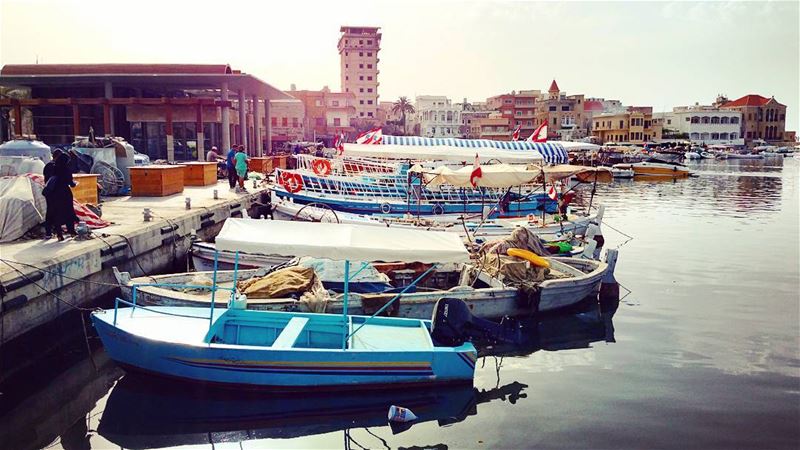 Placid  mediterranean  evening  light  ancient  port  lebanese  urban ...