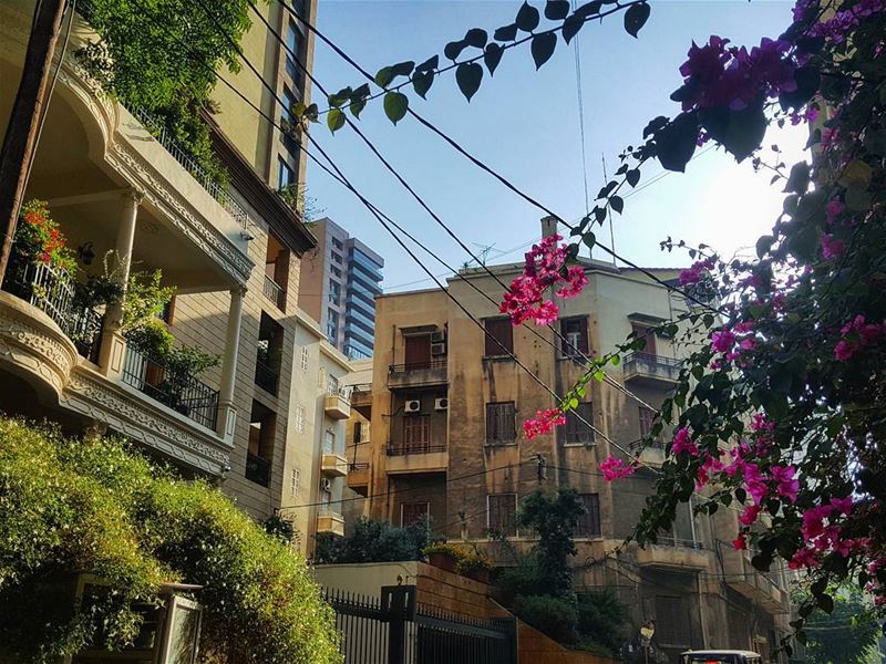 Plants & Flowers are the only makeups that this world must wear... 🍃🌸🍃🌸 (Beirut, Lebanon)