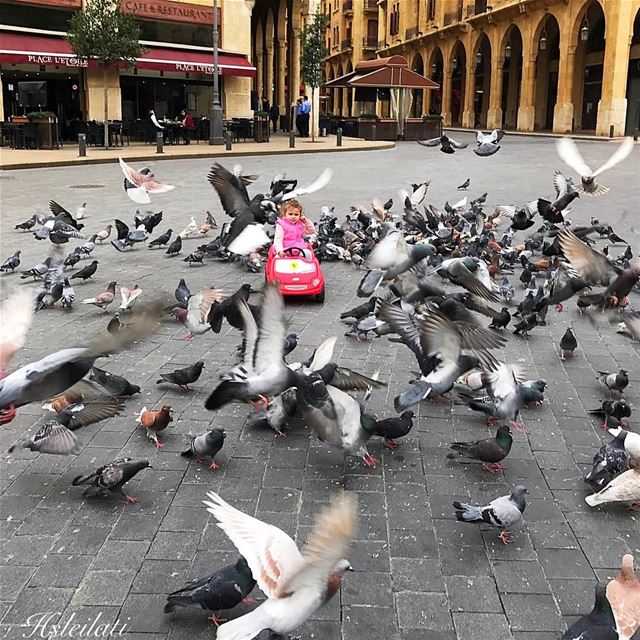 Play is the highest form of research 😊 lebanonbyalocal  lebanonspotlights... (Downtown Beirut)